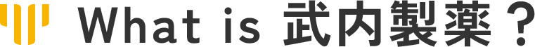 What is 武内製薬